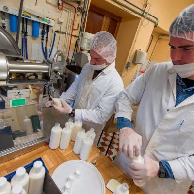 global chemicals supply chain