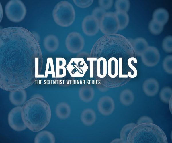 T Cell Editing