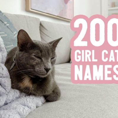 girl cat names