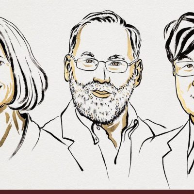 peripheral immune tolerance