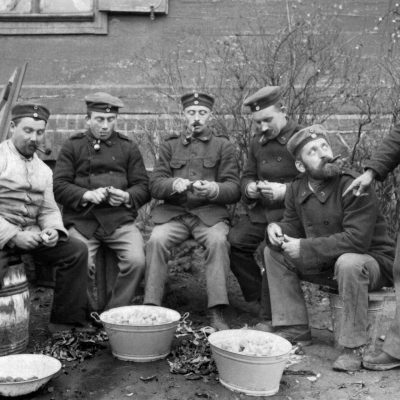 Ginster Siegfried Kracauer