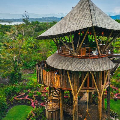 tree house rentals