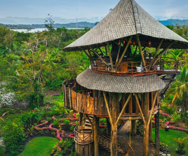 tree house rentals