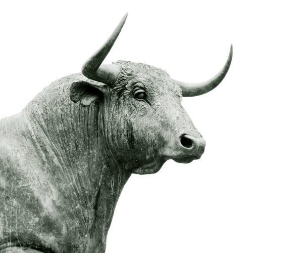 Phantom Taurus hacking group