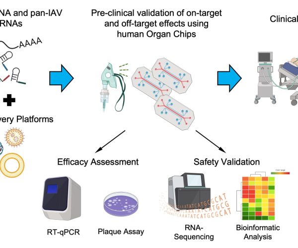 organ chip technology