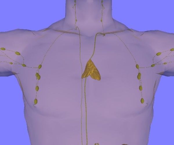 thymic health immunotherapy