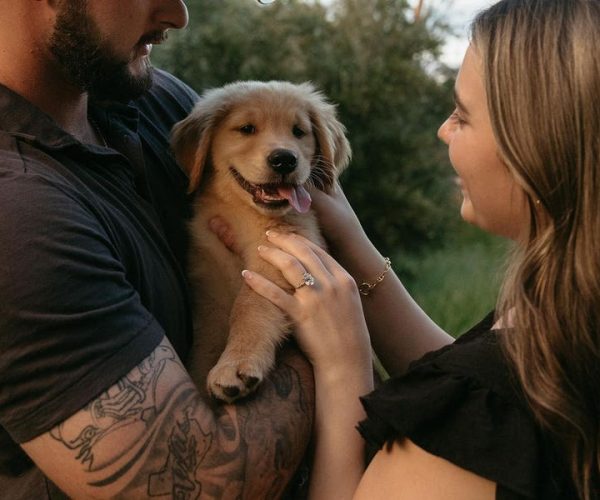 puppy impact