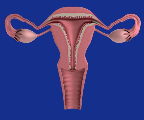 Image source: medicalxpress.com - for informational purposes.