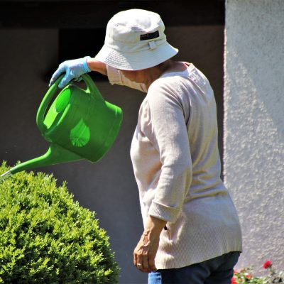 valvular heart disease