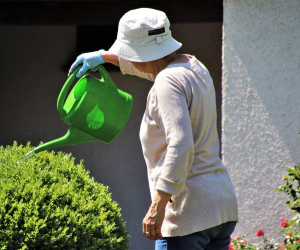 valvular heart disease