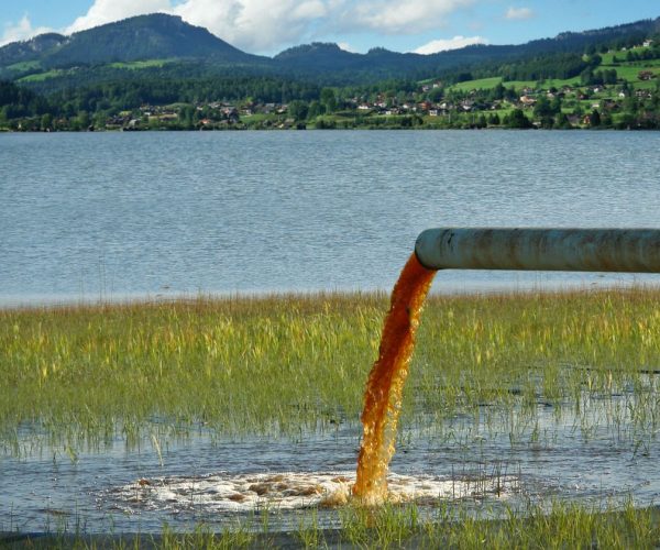 short-chain PFAS