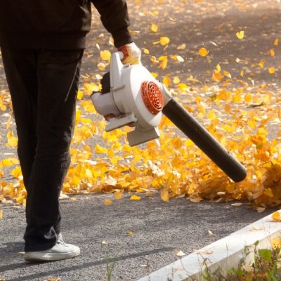 leaf blower