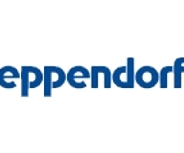 neural circuit rewiring