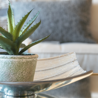 houseplants benefits