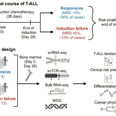 T-cell subtype leukemia