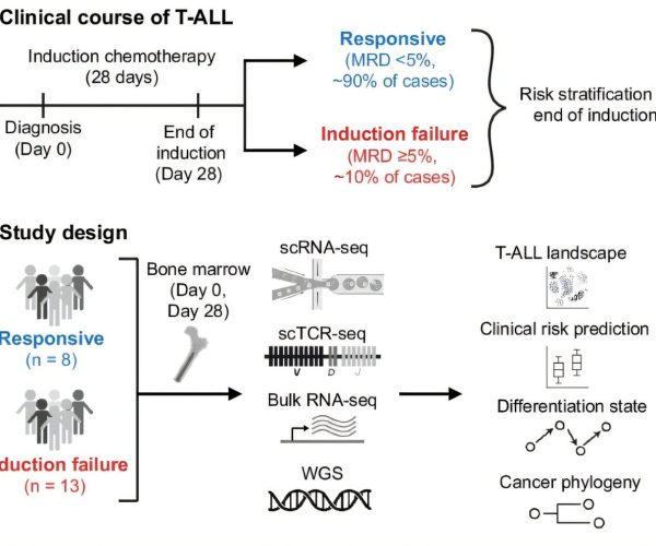 T-cell subtype leukemia