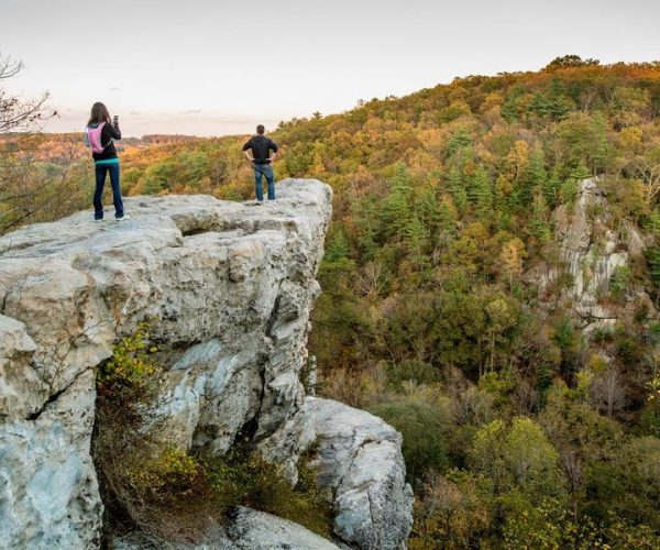 public services innovation