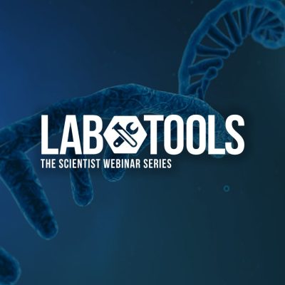 RNA splicing immunotherapy