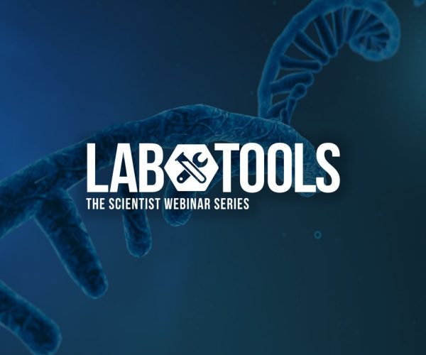 RNA splicing immunotherapy