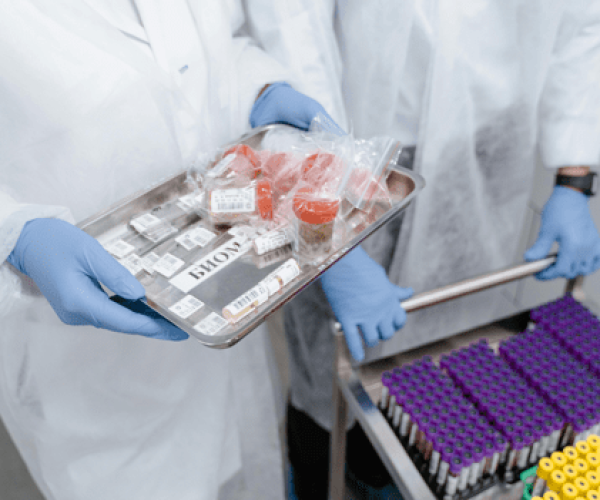 Tempest Therapeutics stock