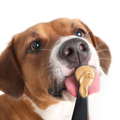 dogs peanut butter