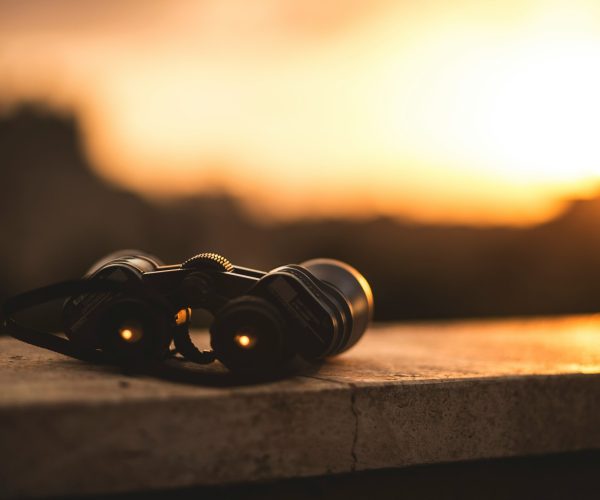 thermal binoculars