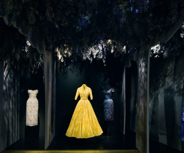 Azzedine Alaïa Dior collection