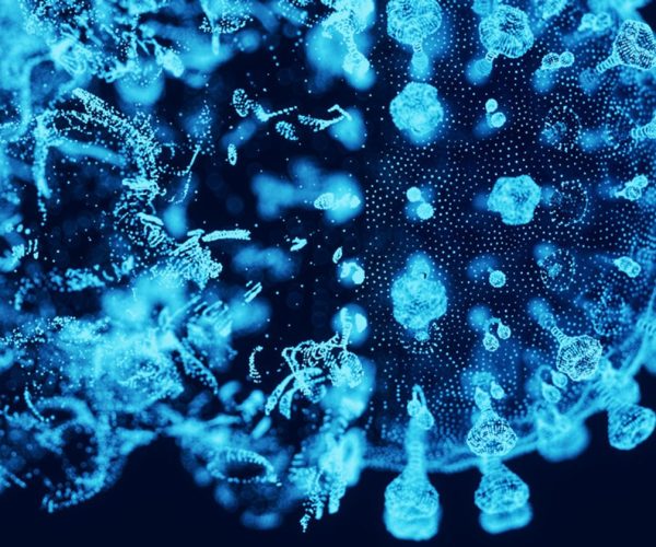 virus origins