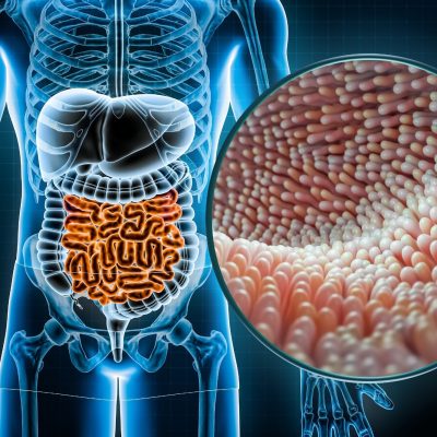 gut microbiome similarities