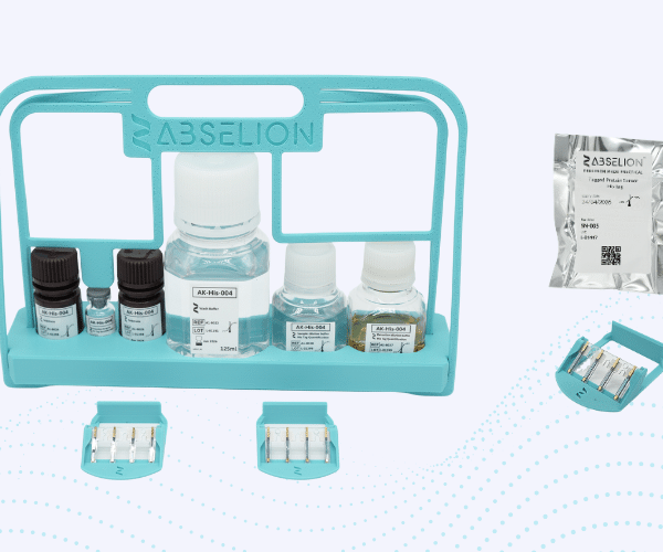 his-tagged protein quantification