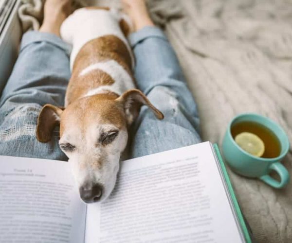 dog books