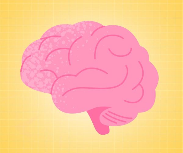 healthy weight brain