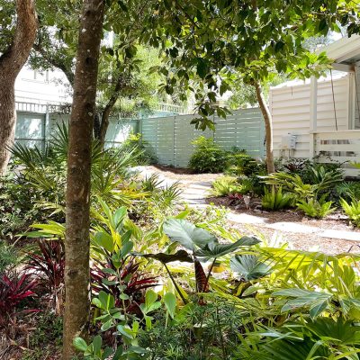 protect plants from freezing