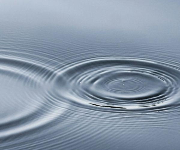 Ripple front-end framework