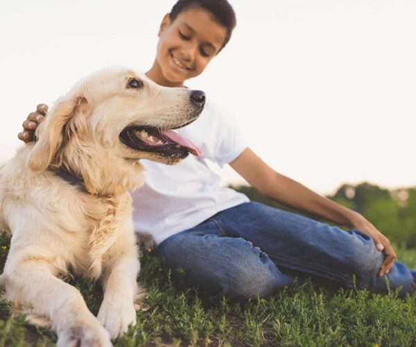 family dog mental health