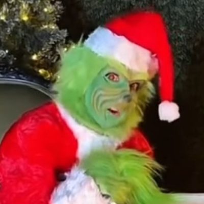 Celine Dion Grinch costume