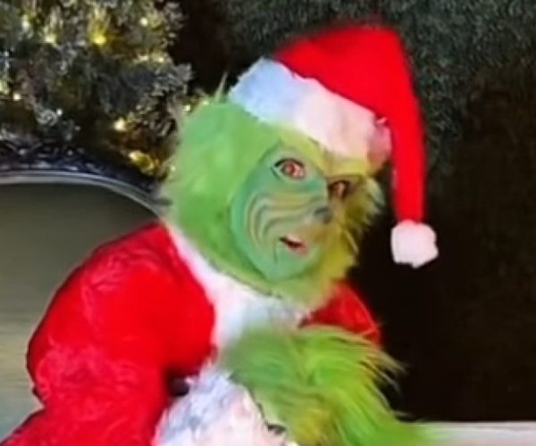 Celine Dion Grinch costume