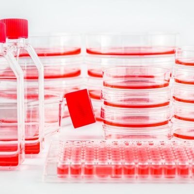 cell culture essentials