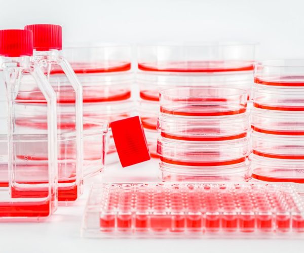 cell culture essentials