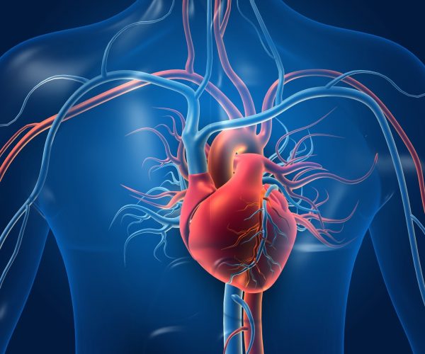 heart health cancer survivors