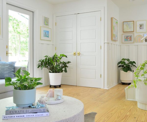 low-light indoor plants