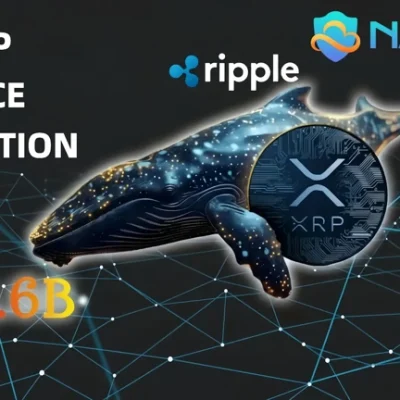 XRP price forecast