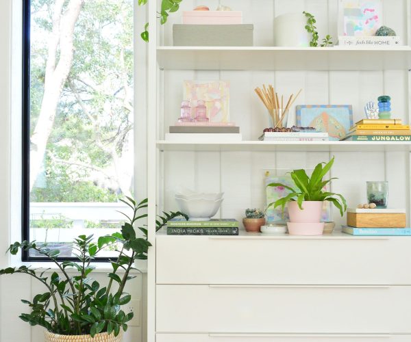 air purifying plants