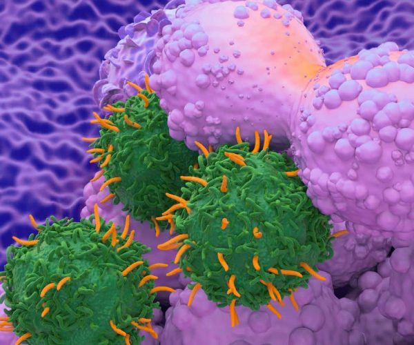 T Cell Immunotherapy