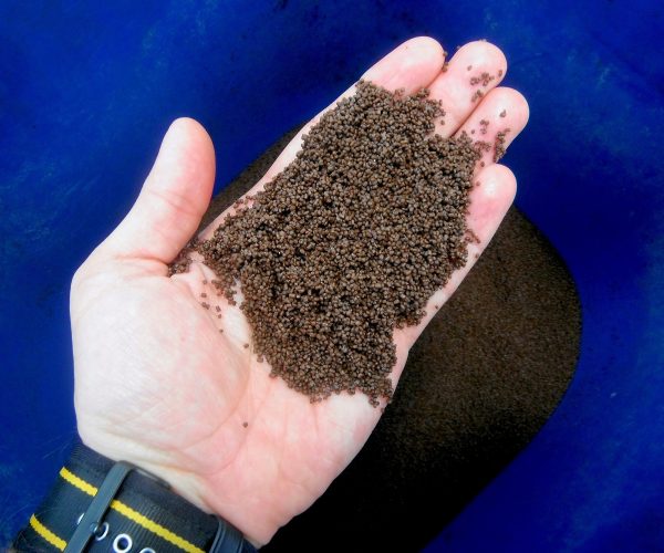 aquaculture malnutrition