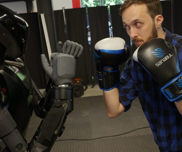 rogue robot