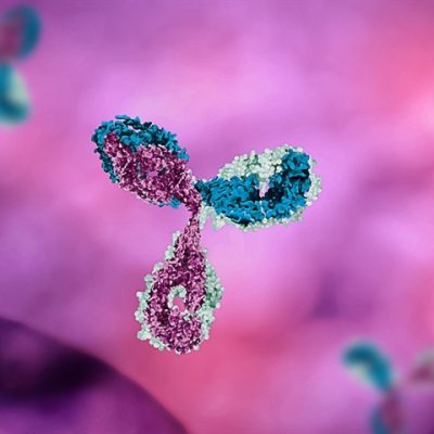 viral RNA modifications