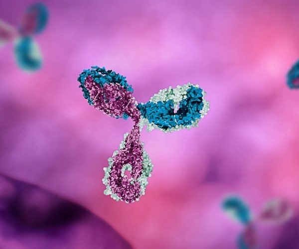 viral RNA modifications