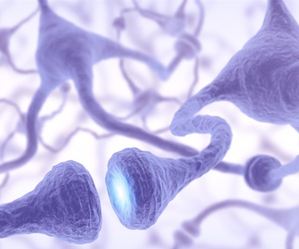 superagers neuron growth
