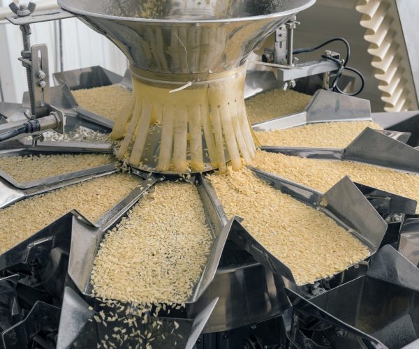 sustainable diet indices